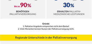 Infografik_Faktencheck-Palliativversorgung_20151102.jpg